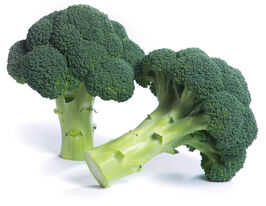 Капуста Брокколи Ларсон F1 купить