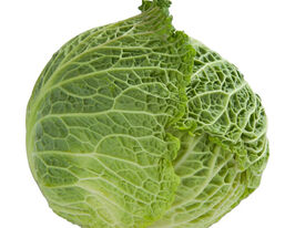 Капуста Савойська Мадлен F1купити