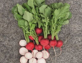 Редис Ронділкупити