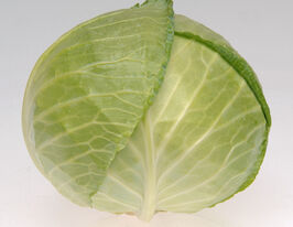 Капуста середньостигла Роял Вантаж F1купити