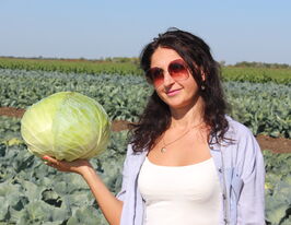 Капуста середньостигла Марлу F1купити