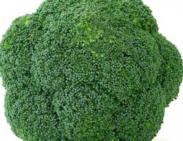 Капуста Брокколи Грин Меджик F1 купить