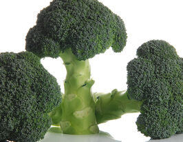 Капуста Брокколи Миконос F1 купить