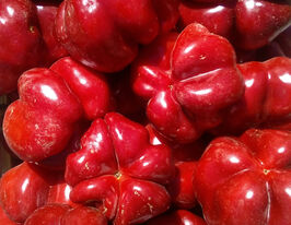 Перець солодкий Флумері F1купити