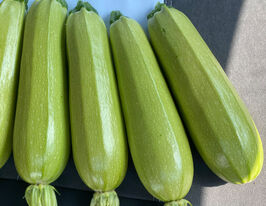 Кабачок Хіба F1купити