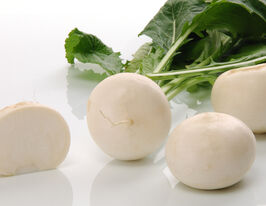 Ріпа японська Токіо Топ F1купити