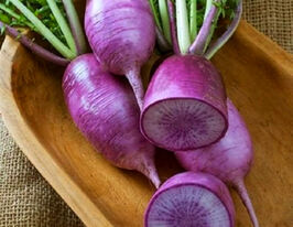 Редька Дайкон літня Санго пурпуровакупити