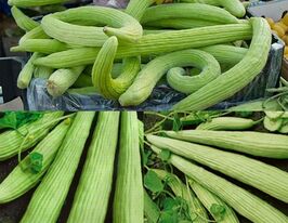 Огірок-диня Вірменський темно-зеленийкупити