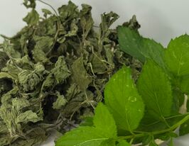 Мята сушеная смесь купить