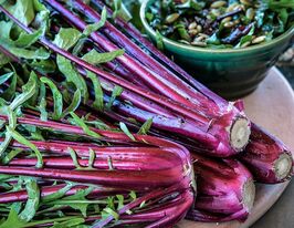 Цикорій салатний Італіко до Коста-Россі 10 гкупити