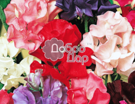 Душистый горошек высокорослый 50 г купить