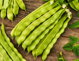 Квасоля спаржева Марконікупити