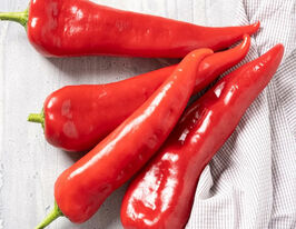 Перец сладкий Рог быка купить