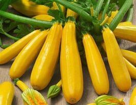 Кабачок цукини Свитозар купить