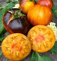 Томат Мечта Алисы (Alice`s Dream) купить