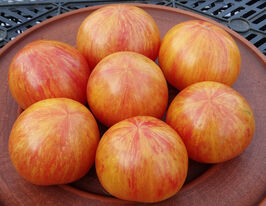 Томат к. Карпатські перлиникупити