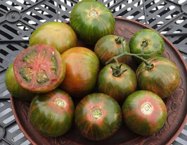 Томат к. Розмайкупити