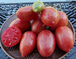 Томат к. Веселка велика Куликакупити