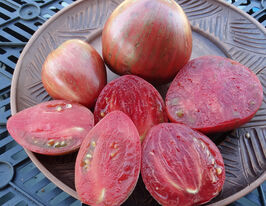 Томат к. Бахмутський шляхкупити