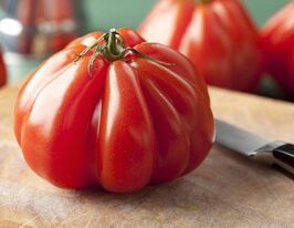 Томат Серце Бика Доух (Coeur ge boeuf douh)купити