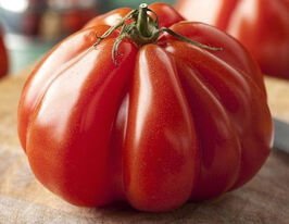 Томат Сердце Быка Доух (Coeur ge boeuf douh) купить