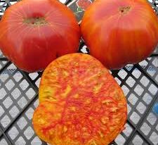 Томат Мамонт Німецький Золотий (Mammoth German Gold)купити