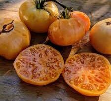 Томат Помаранчеве морозиво (Orange Ice Cream)купити