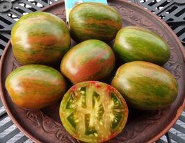 Томат к. Писанкикупити