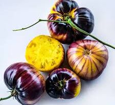 Томат Сарт Ролуаз (Sart Roloise)купити