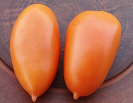 Томат к. Золота рибкакупити