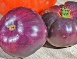 Томат к. Великий червоний блюз (Surprise blues)купити