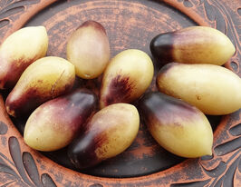 Томат к. Казковий ангел (Feenengel)купити