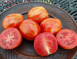 Томат к. Каменяркупити