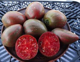 Томат к. Гуцульська магіякупити