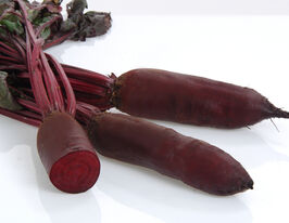 Свекла столовая Родина F1 купить