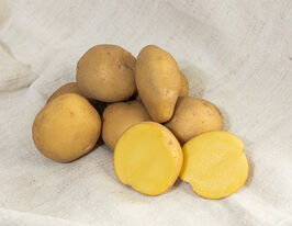 Картопля Спаскупити