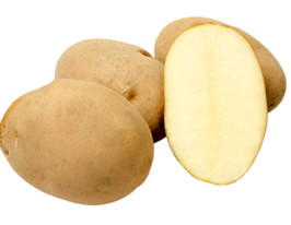 Картопля Юбілаткупити