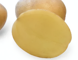 Картопля Сурьмакупити