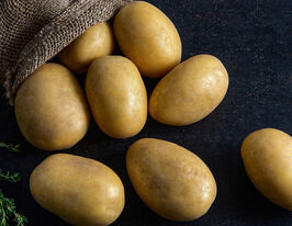 Картофель Колумбия купить