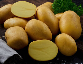 Картофель Таормина купить