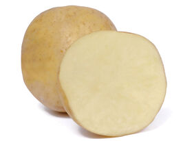 Картофель Евродельта купить