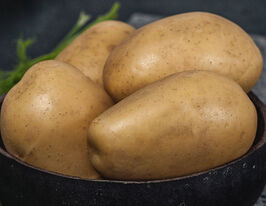 Картофель Альбертина  купить