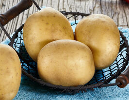 Картофель Ювента купить