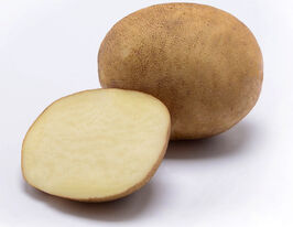 Картофель Евровива купить