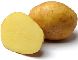 Картофель Еврореса купить