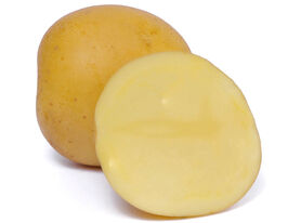 Картофель Приция купить