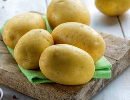 Картофель Монтана  купить