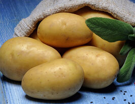 Картопля Анналенакупити