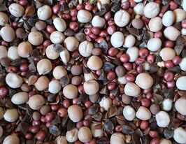 Сидеральна суміш №1купити