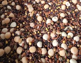 Сидеральна суміш №2купити